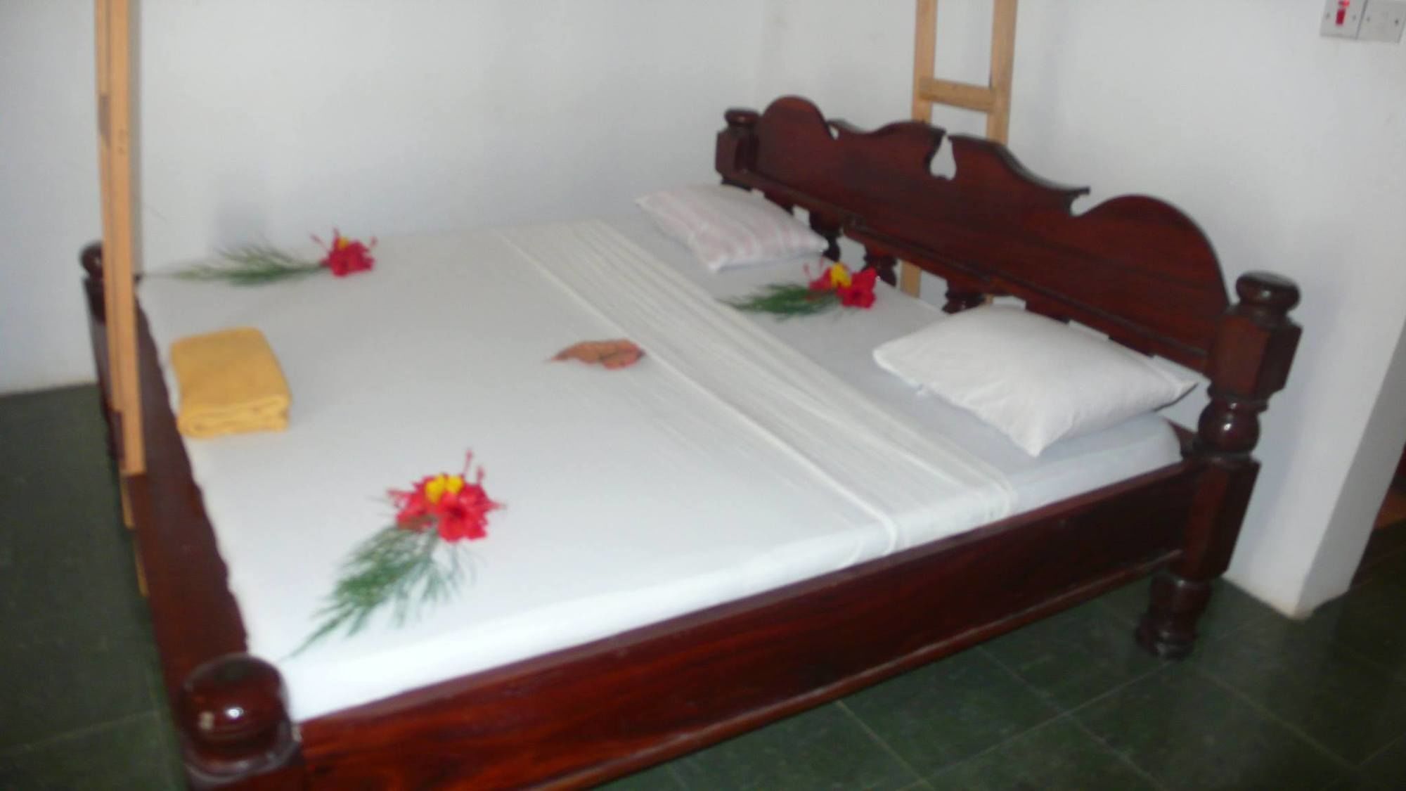 Union Beach Bungalow Nungwi Zewnętrze zdjęcie